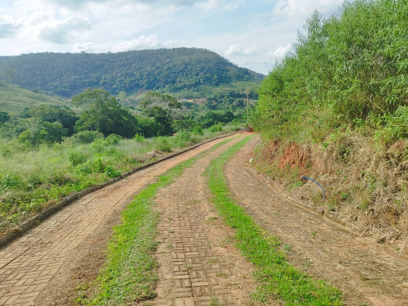 Via interna pavimentada do Ilha do Bananal